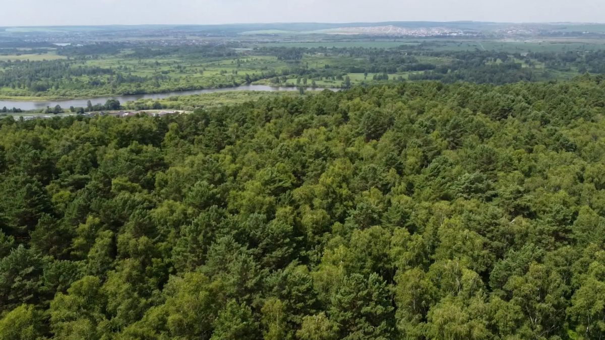 Заморозки прогнозируют 18 августа в Иркутской области
