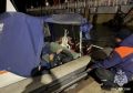 Два человека пострадали от укусов змей за последние пару суток в Иркутской области