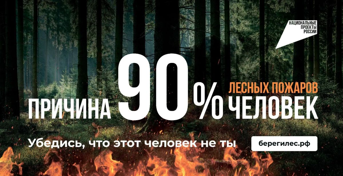 На опережение стихии: профилактика и борьба с лесными пожарами