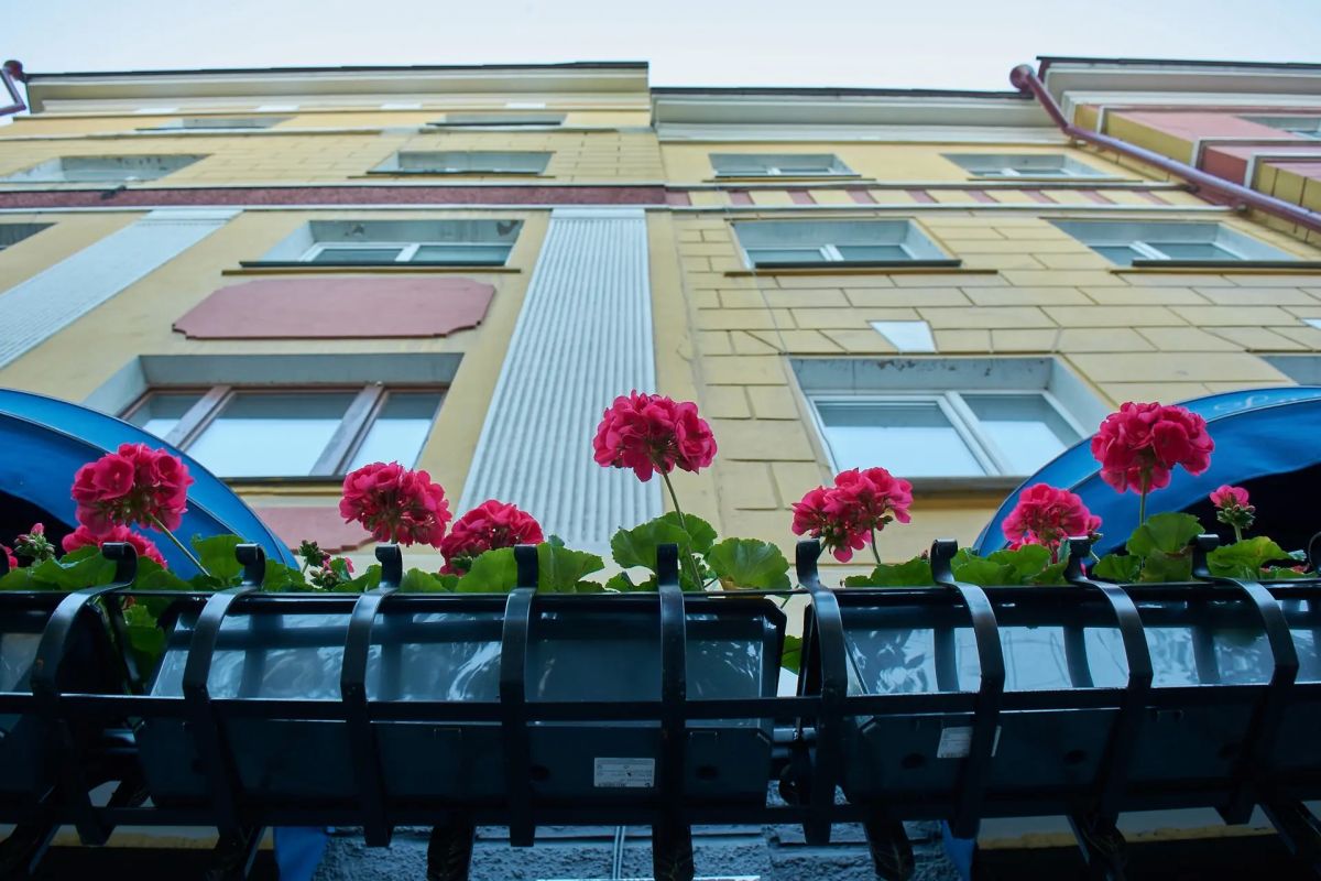 Пасмурная и дождливая погода все чаще появляется в нашей жизни