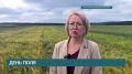 Селекционеры Иркутской области вывели новые сорта злаковых растений