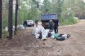 В Братске мусор в лесу привлекает медведей к дачам