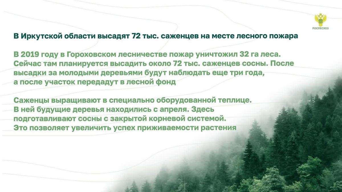 Как прошла неделя в лесной отрасли? Собрали главные новости в #Дайджест
