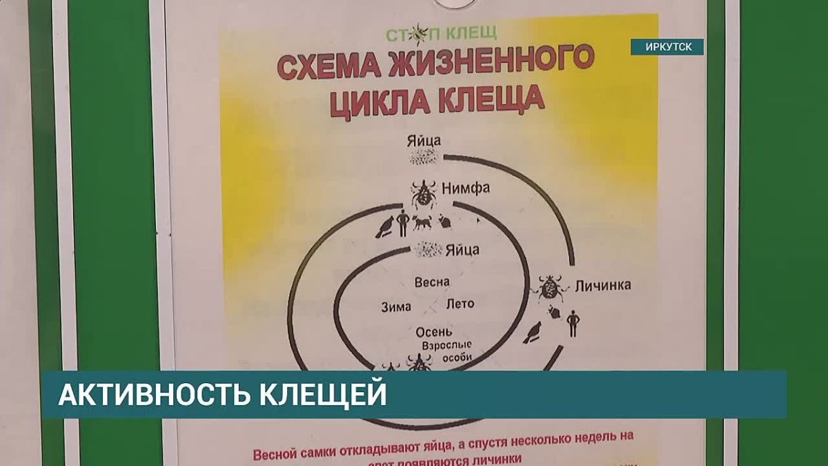 Август — время любителей ягод и грибов