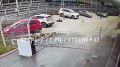 Сибири медведи все чаще выходят из леса к людям