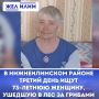 ����� � ������������� ������ ���������� ������ 73-������ �������, ������� � ��� �� �������