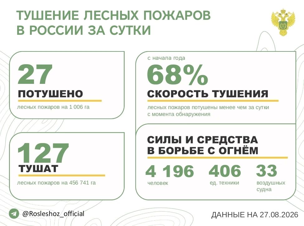 За прошедшие сутки в 14 регионах России потушили 27 лесных пожаров