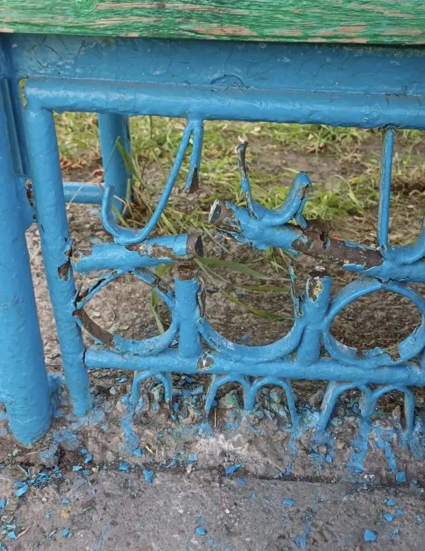Спасатели помогли двум собакам, попавшим в беду Спасатели помогли двум собакам, попавшим в беду