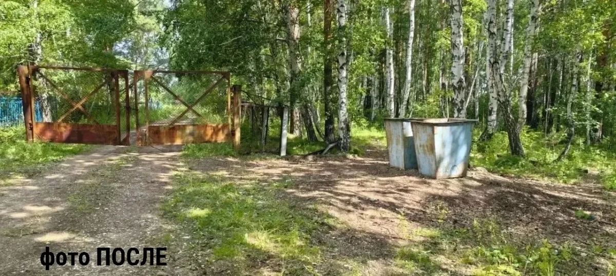Свалки на кладбищах в Аларском районе убрали после вмешательства прокуратуры Свалки на кладбищах в Аларском районе убрали после вмешательства прокуратуры