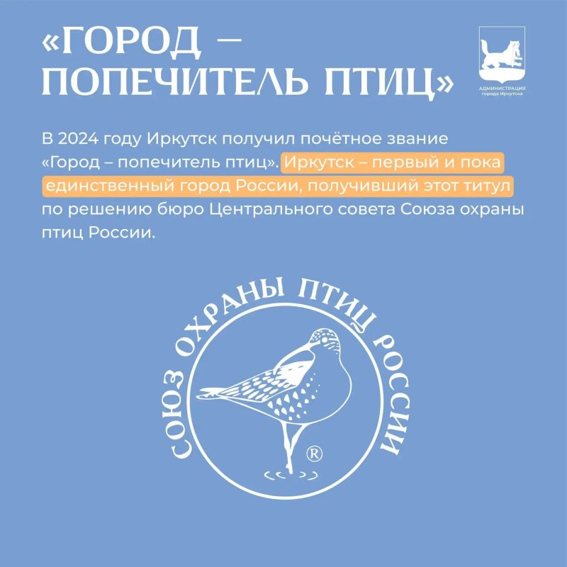 Вечером читаем #ИркутскийАлфавит, на очереди буква «Щ» Вечером читаем #ИркутскийАлфавит, на очереди буква «Щ»