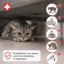 Кошки — мастера скрывать болезнь, но есть 5 верных признаков, которые укажут на проблемы