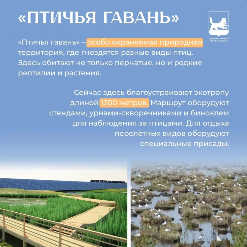Вечером читаем #ИркутскийАлфавит, на очереди буква «Щ» Вечером читаем #ИркутскийАлфавит, на очереди буква «Щ»