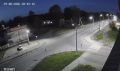 #нампишут. В Байкальске медведь ходит по улицам города