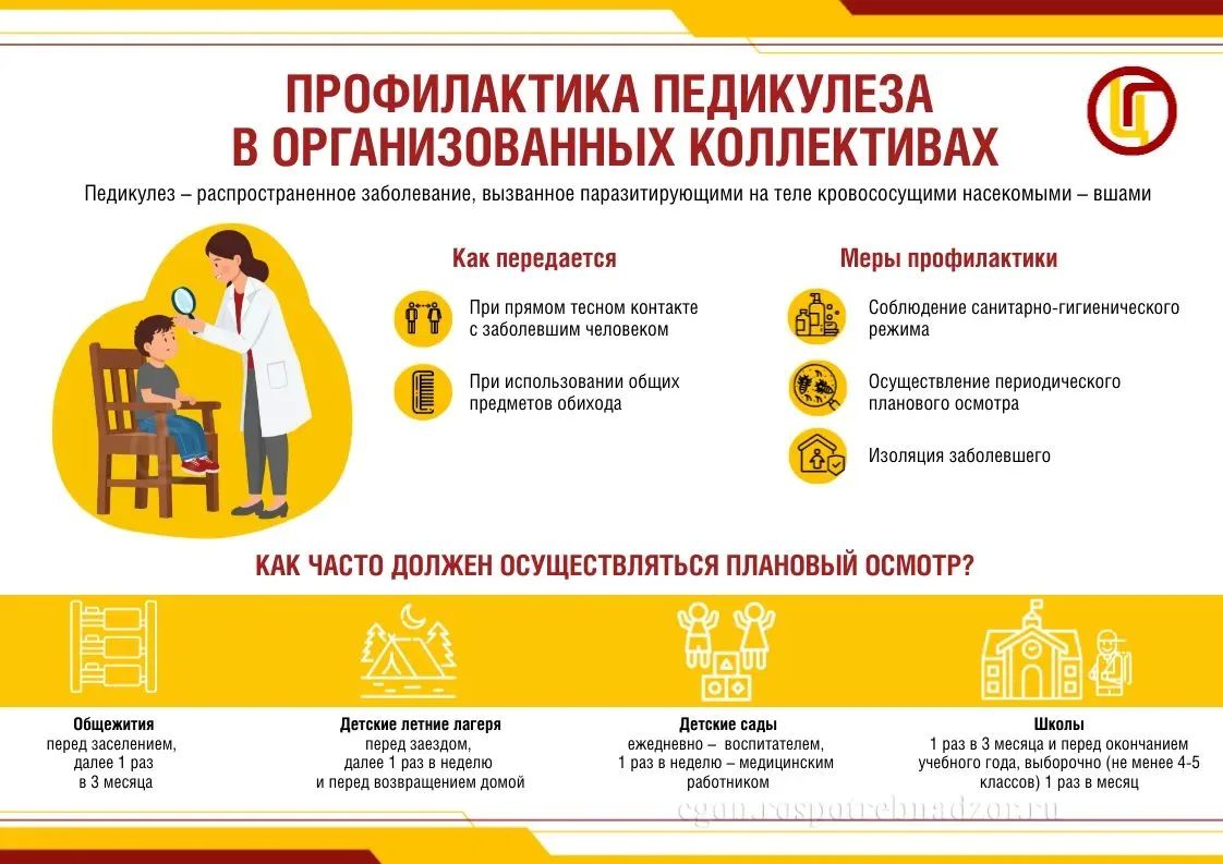 Педикулез - заболевание, вызванное паразитирующими на теле кровососущими насекомыми - вшами.
