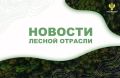 ЛесПромИнформ: Рослесхоз разъяснил порядок перехода на новую XSD-схему для отчётов об использовании лесов