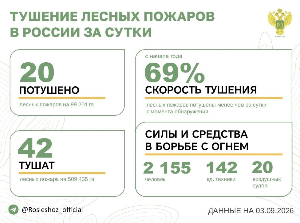 За прошедшие сутки в 10 регионах России потушили 20 лесных пожаров