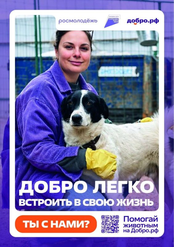 Иркутян приглашают на платформу добрых дел Добро.рф Иркутян приглашают на платформу добрых дел Добро.рф