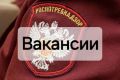 Нам нужны:. Рабочее место в г.Иркутске: ведущий специалист–эксперт отдела защиты прав потребителей