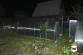 Необычный сад обнаружили полицейские в Усть-Илимске