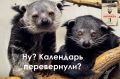 ������� � ��������� ����, ��� ���� �������� � ������������� ��������-��������, ������� �������� ��������� ����� ������� ������������ ������� ���������
