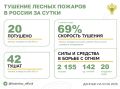 За прошедшие сутки в 10 регионах России потушили 20 лесных пожаров