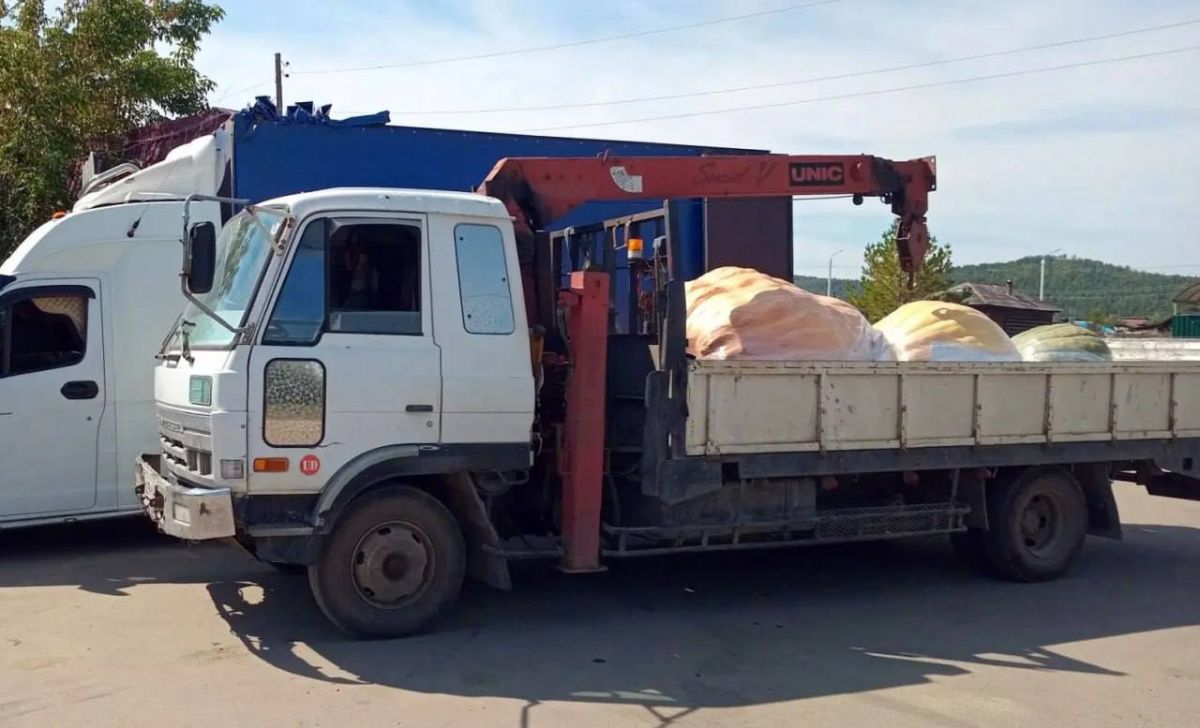 Царь-тыкву отправили из Иркутской области в Москву Царь-тыкву отправили из Иркутской области в Москву