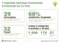 За прошедшие сутки в 12 регионах России потушили 29 лесных пожаров