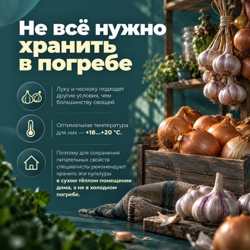 Как сохранить урожай до весны и не потерять его запасы? Как сохранить урожай до весны и не потерять его запасы?
