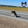 ������ ����� �� ��������� ������