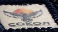 День рождения Центра спортивных единоборств «Сокол» отметили в Шелехове