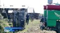 304 рубля за килограмм потерянного из-за болезни поголовья получат жители деревень Коты и Бутырки в Иркутском округе
