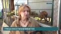 ������ ����� ����������������� ����� ������� ��������