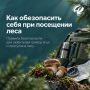 Собираетесь в лес? Позаботьтесь о безопасности заранее