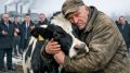 В Сибири снова вырезают скот из-за «загадочной болезни»