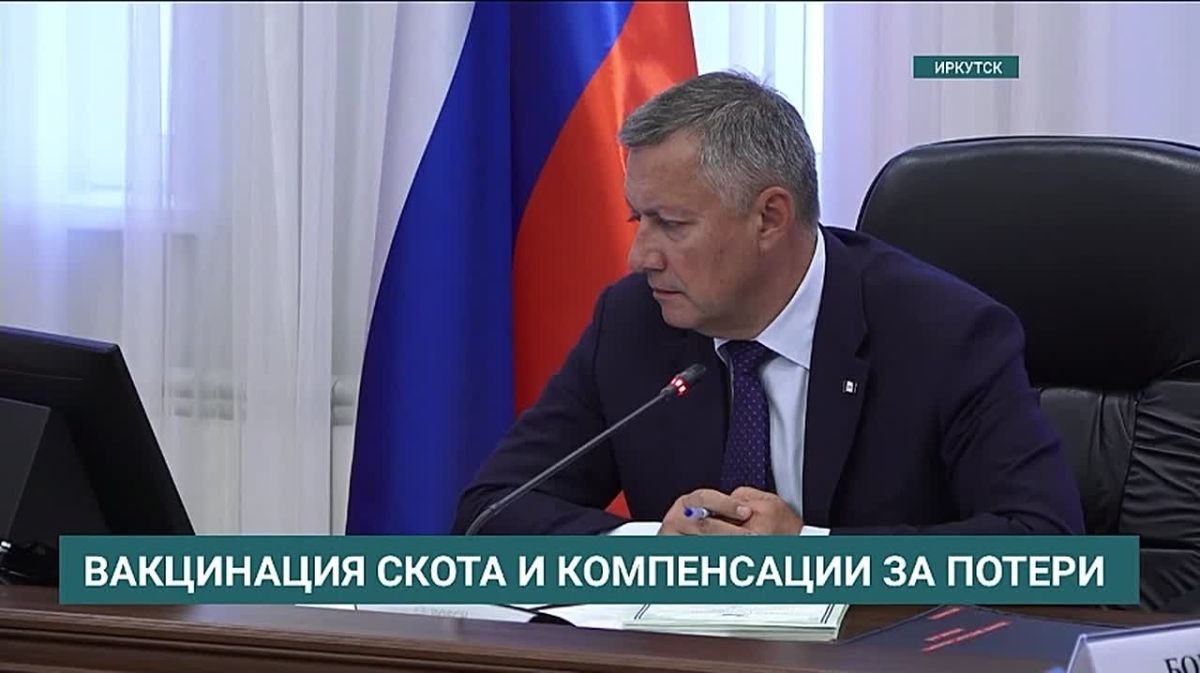 Вакцинация скота началась в населенных пунктах Иркутского муниципального округа