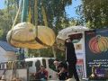 Тыква двенадцатилетнего садовода из Иркутской области стала самым большим овощем на фестивале осеннего урожая "Битва гигантов"