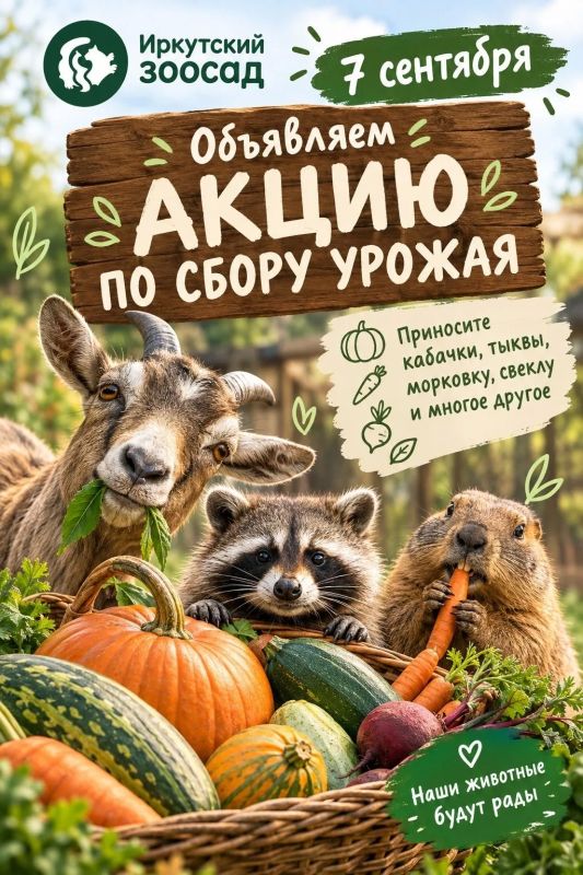 Кабачки, тыквы и морковь для зверей: зоосад объявил сбор урожая