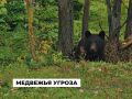 ������ ���������� ������� ������ �� ��������� ��������