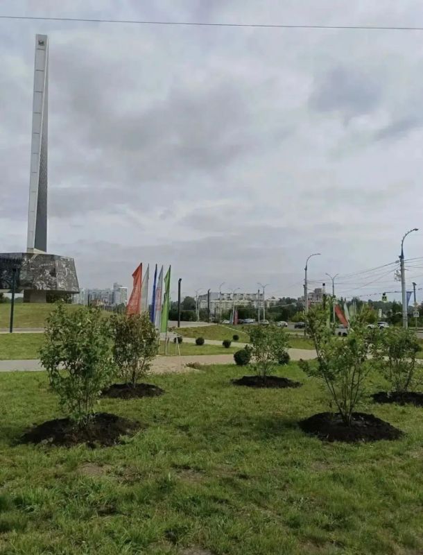 Иркутск стал зеленее: 280 деревьев и кустарников украсили городские пространства Иркутск стал зеленее: 280 деревьев и кустарников украсили городские пространства