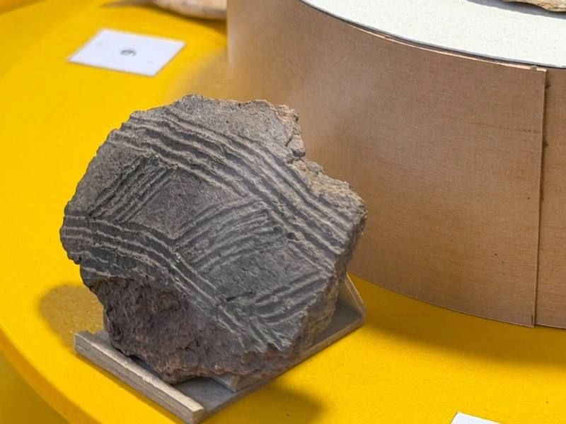 Детский культурный центр «АРХЕОЛОГиЯ» открыли в Иркутске Детский культурный центр «АРХЕОЛОГиЯ» открыли в Иркутске