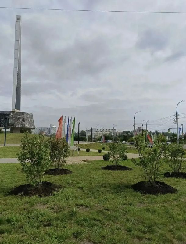 Сирень и другие декоративные культуры высадили в Иркутске