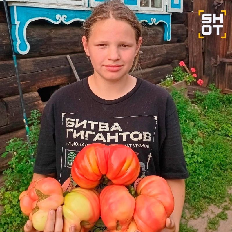 Самую большую тыкву России весом 817 кг вырастил 12-лений школьник из Иркутской области Самую большую тыкву России весом 817 кг вырастил 12-лений школьник из Иркутской области