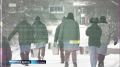 Первая в Сибири благотворительная комедия «Съехавшие» вышла на этой неделе в иркутском кинотеатре «Нью Синема»