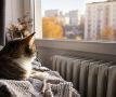 Отопительный сезон в Иркутске стартует с 22 сентября