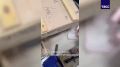 � ��������� ������� ��������� ������������ ���������� �����������