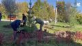 Руслан Болотов: 83 молодых дерева и кустарника высадили сегодня возле Иркутской городской клинической больницы № 10.