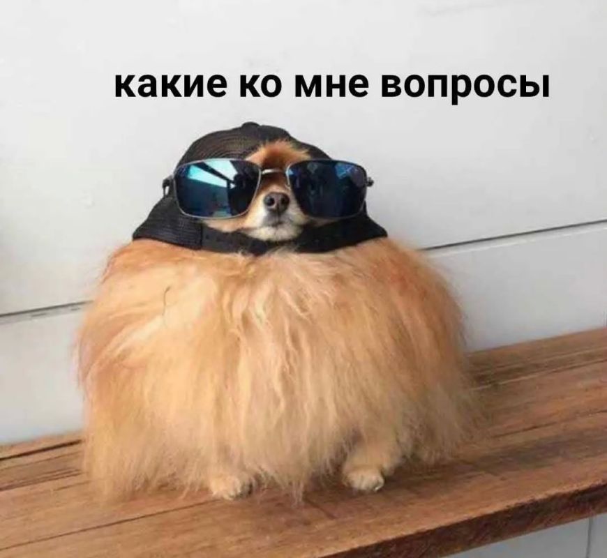 На случай важных, офисных переговоров в эту пятницу, ловите: На случай важных, офисных переговоров в эту пятницу, ловите: