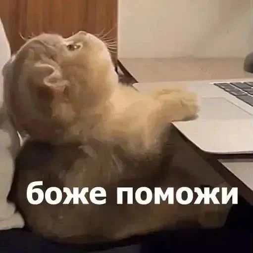 На случай важных, офисных переговоров в эту пятницу, ловите: На случай важных, офисных переговоров в эту пятницу, ловите: