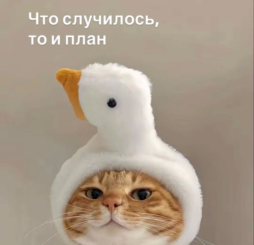 На случай важных, офисных переговоров в эту пятницу, ловите: На случай важных, офисных переговоров в эту пятницу, ловите: