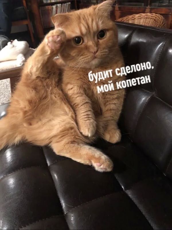 На случай важных, офисных переговоров в эту пятницу, ловите: На случай важных, офисных переговоров в эту пятницу, ловите: